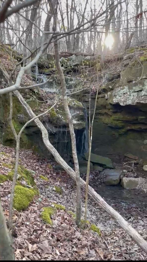 Property Photo:  Tbd 000 Plumlee Rd  AR 72611 