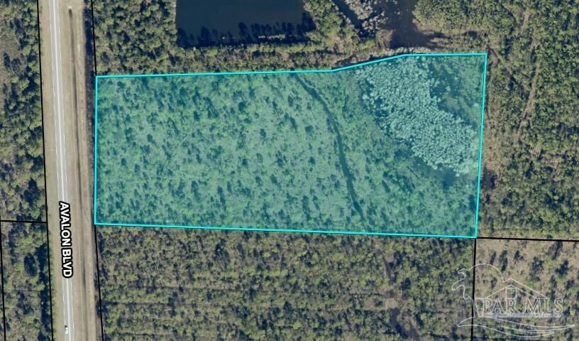 Property Photo:  10.95 Acres Avalon Blvd  FL 32583 