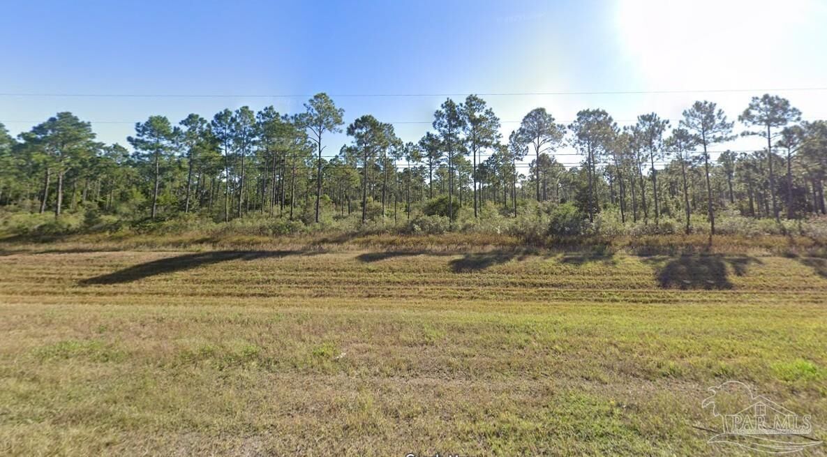 Property Photo: 10.95 Acres Avalon Blvd FL 32583