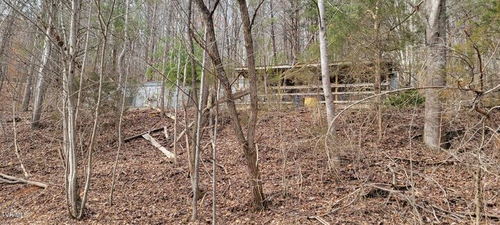 Property Photo:  1365 Stone Mountain Road  TN 37711 