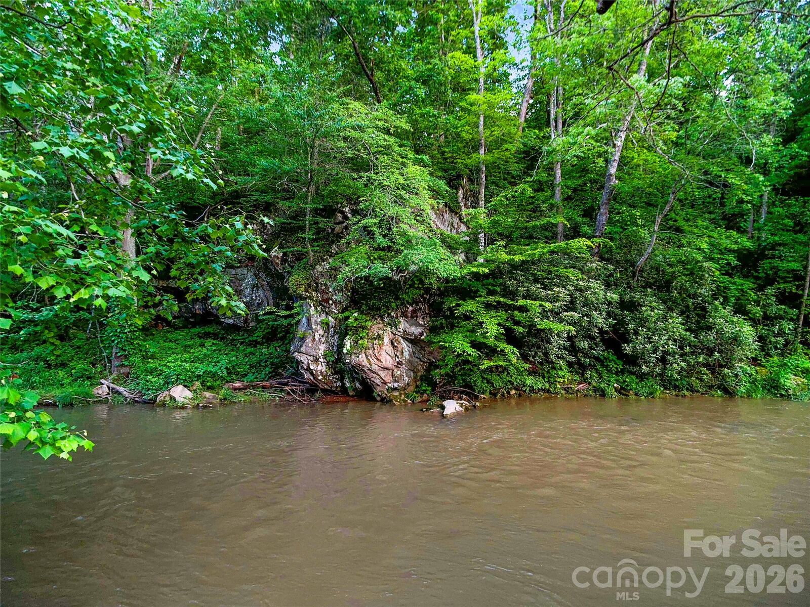Property Photo: 99999 Bear Creek Road 38 NC 28753