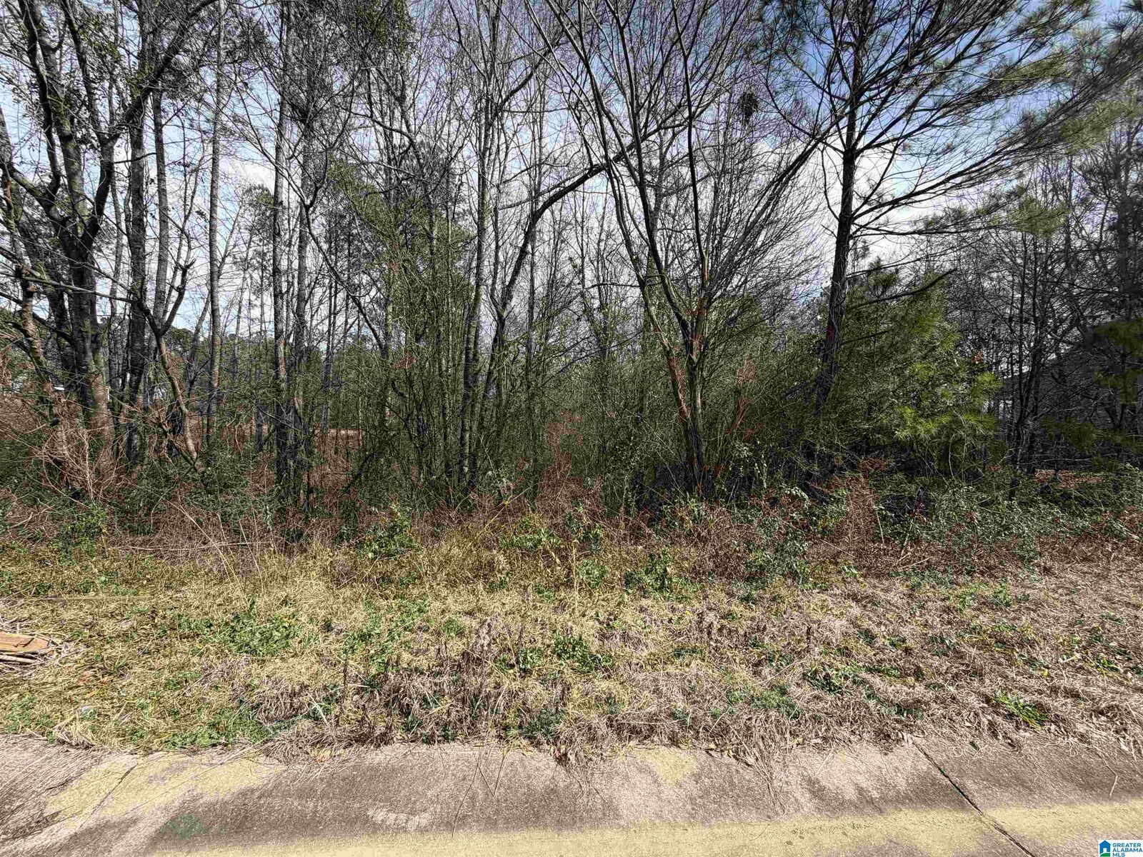 Property Photo:  1112 Baylor Court 67  AL 35125 