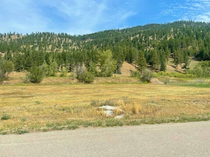 Property Photo: Lot 13 Pamin Loop MT 59825