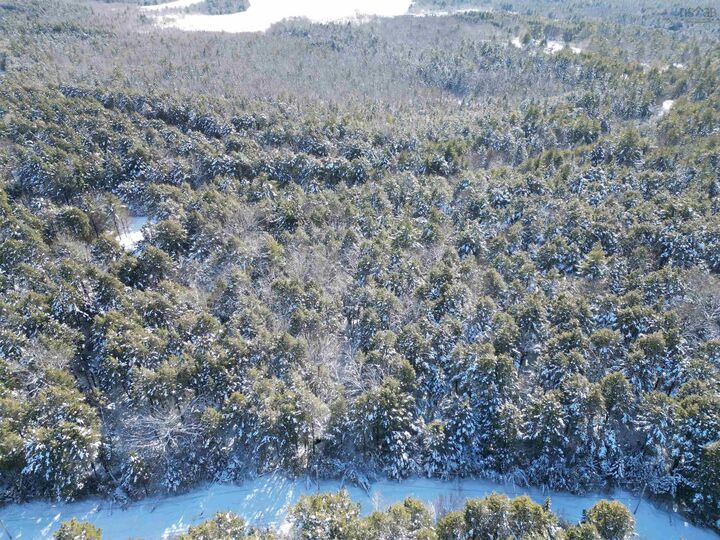 Property Photo:  Lot 22 Peters Drive  NS B0T 1W0 