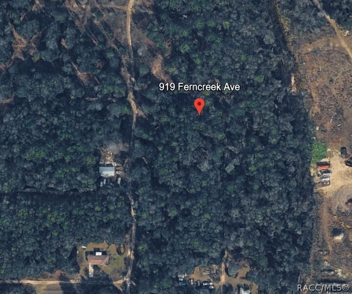 Property Photo:  919 Ferncreek Avenue  FL 34453 