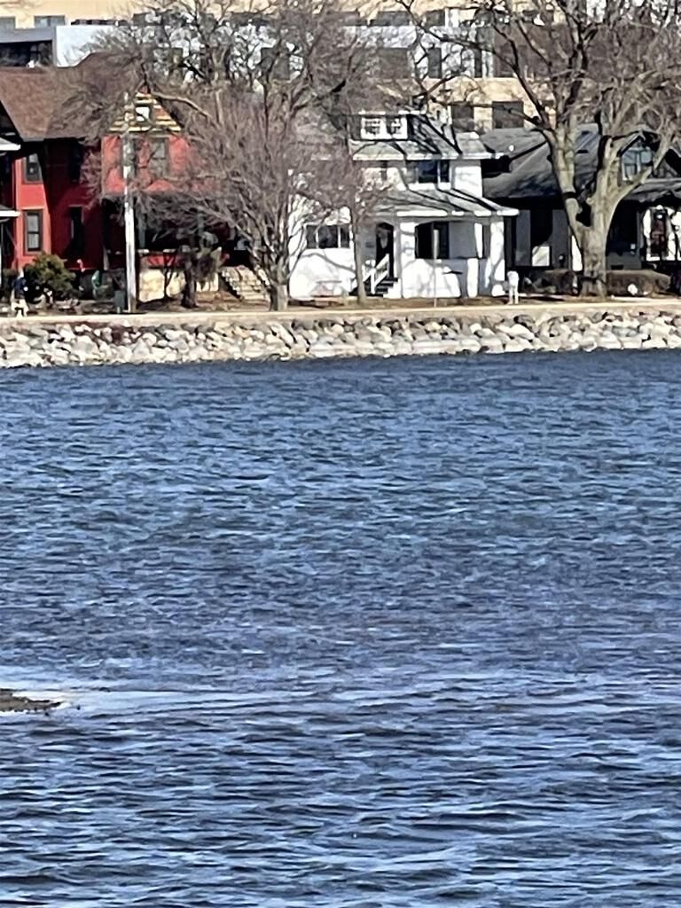 Property Photo:  135 South Brittingham Place  WI 53715 