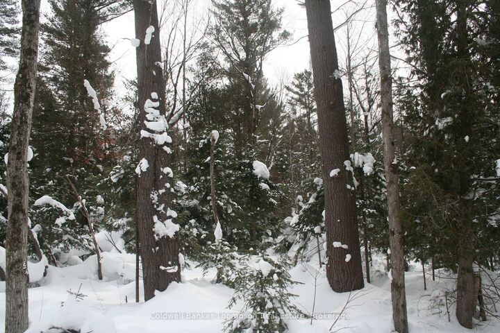 Property Photo:  0 Pt Lt 29 Con 10 N/A  ON P1H 2J3 