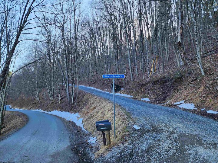 Property Photo:  169 Wilma Lee Memorial Drive  WV 26254 