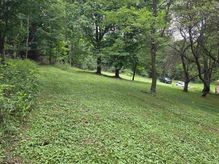 Property Photo: 169 Wilma Lee Memorial Drive WV 26254