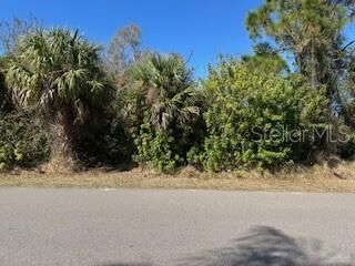 Property Photo: 189 Strasburg Drive FL 33954