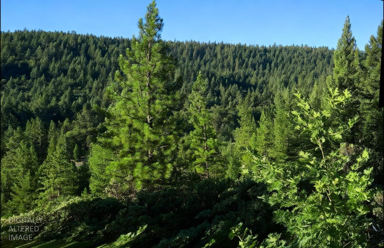 Property Photo: 0 Lee Road CA 95971