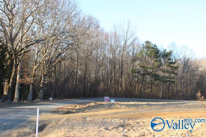 Property Photo:  368 County Road 244  AL 35968 