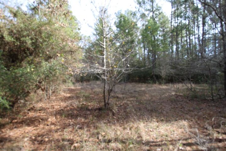 Property Photo:  R 122777 Jape Massingill Lane  TX 75941 