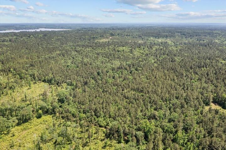 Property Photo: 3994 County Road 774 TX 75943