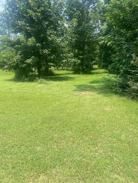 Property Photo:  203 Cr 557  TX 75961 