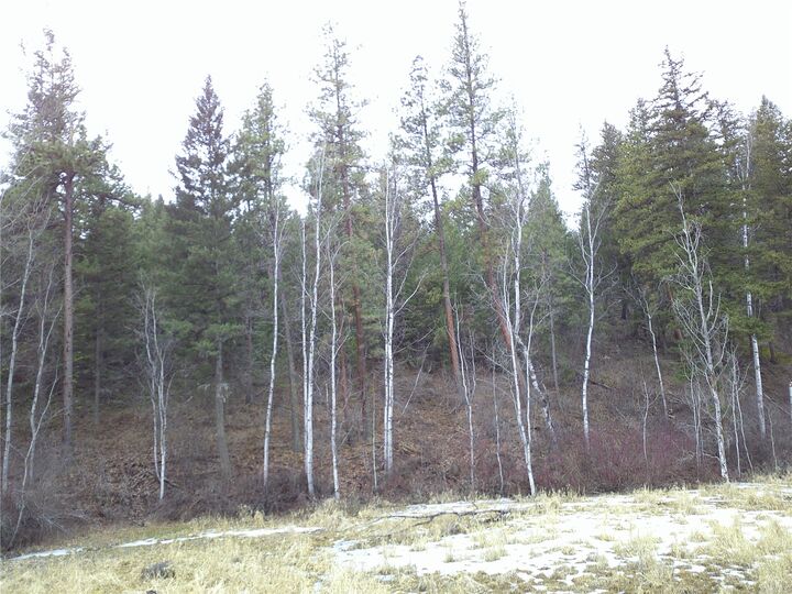 Property Photo: Nhn Browns Meadow Road MT 59845