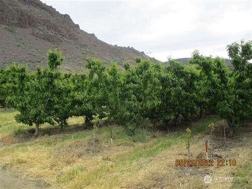 Property Photo:  963  SR 28  WA 98850 