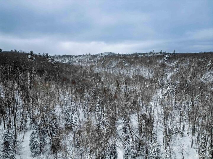 Property Photo:  Tbd E Wilderness Road  MI 49866 