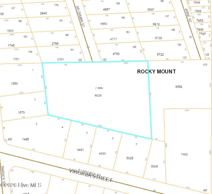 Property Photo: 1198 Beckman Street NC 27801