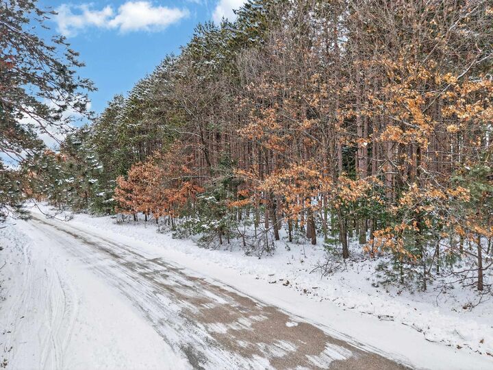 Property Photo:  10976 Red Pine Way  WI 54981 