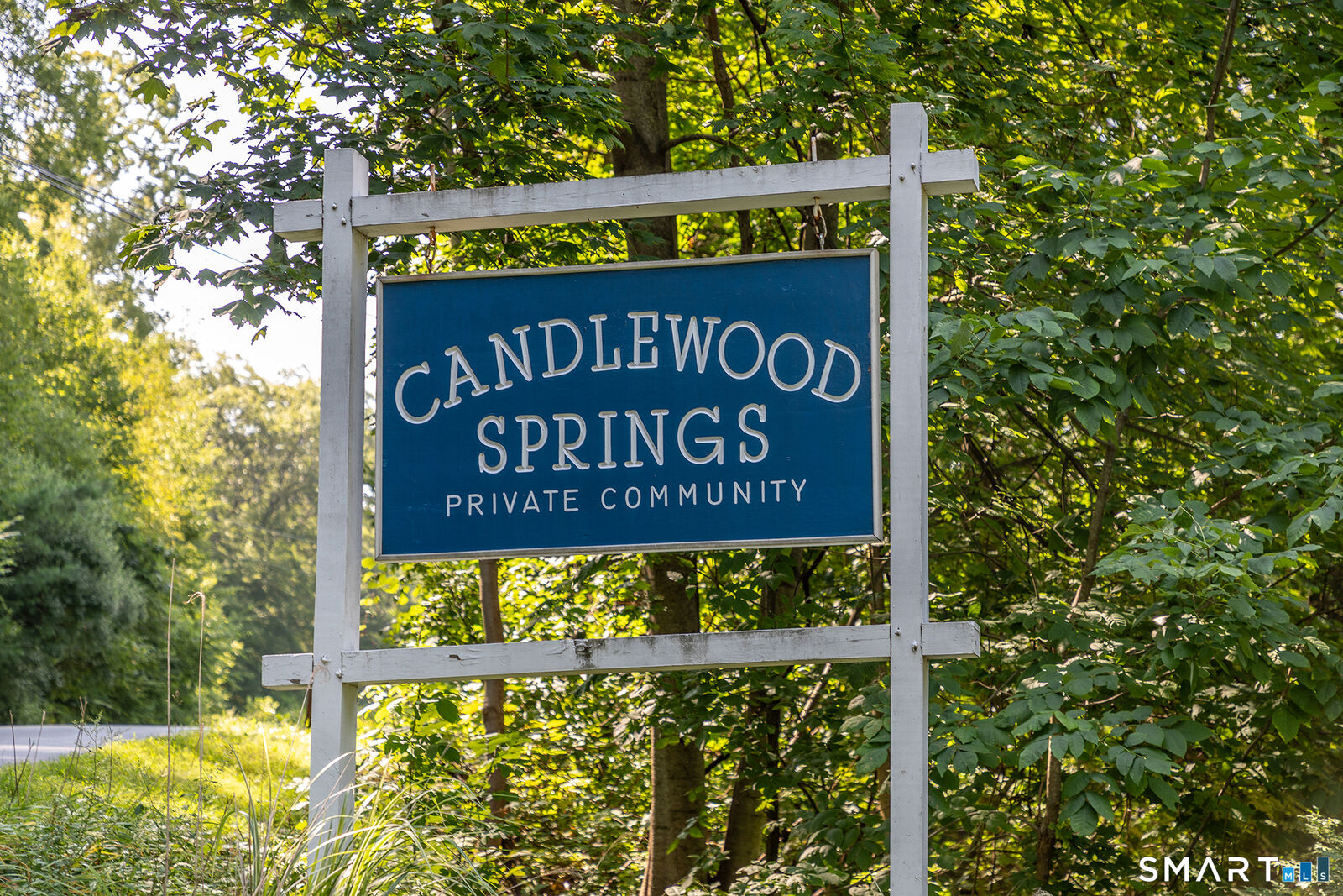 Property Photo:  19 Candlewood Springs  CT 06776 