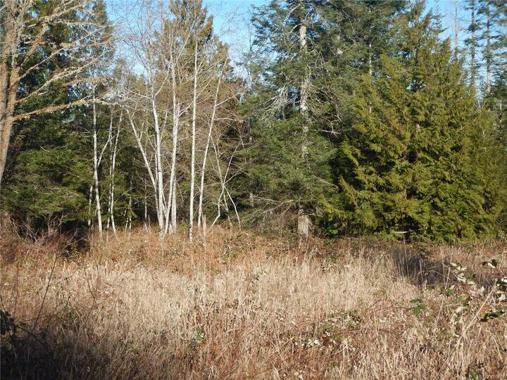 Property Photo: Lot 2 Artela Dr BC V0R 1W0
