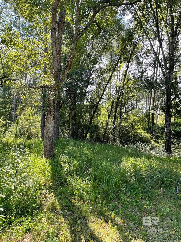 Property Photo:  20150 County Road 87  AL 36567 