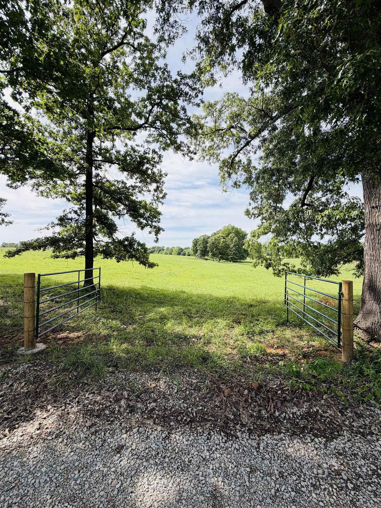 Property Photo: 394 County Road 348 AR 72401