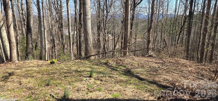 Property Photo:  85 Shinnecock Drive 7  NC 28759 