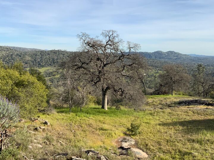Property Photo:  0 5.36 Ac N Dome Drive  CA 93614 