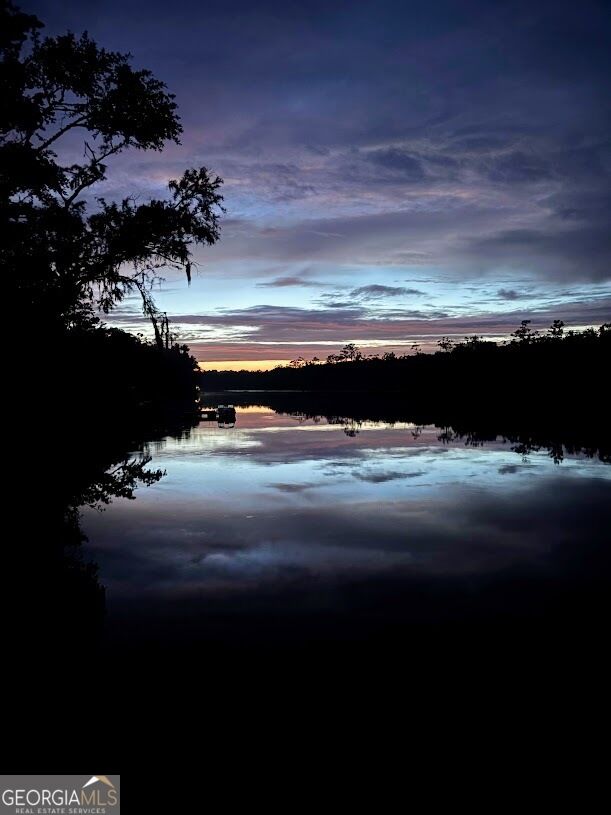 Property Photo:  90 Manning Lane  GA 31537 