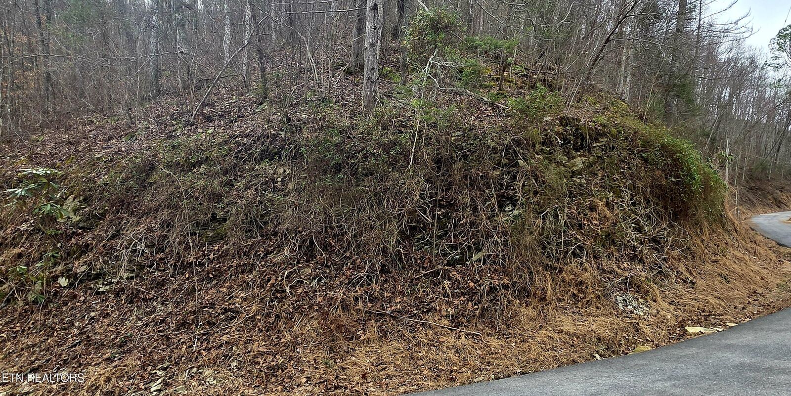 Property Photo: Lot 0006 Wildcat Ridge Rd TN 37862