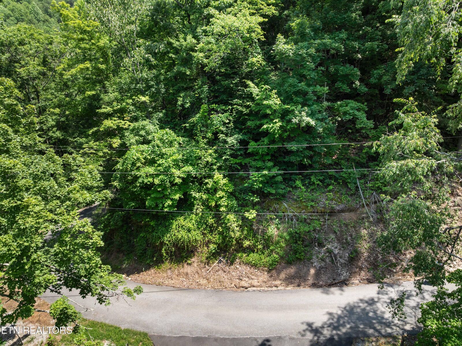 Property Photo: Lot 0006 Wildcat Ridge Rd TN 37862