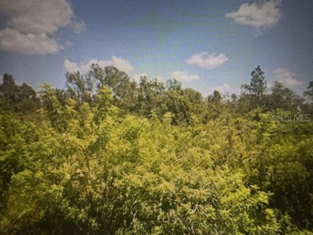 Property Photo: 6340 Grove Boulevard FL 33982