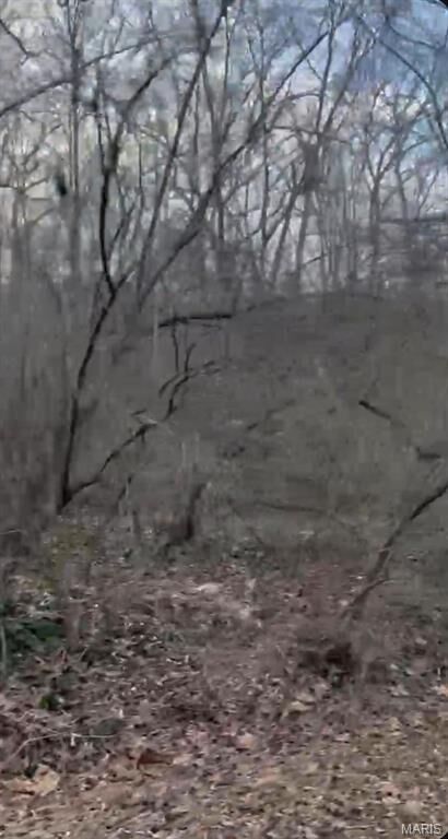 Property Photo: 308 Pawnee MO 63648