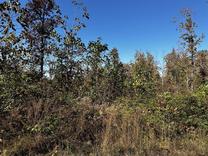 Property Photo:  0 Ridge Top Rd  TN 37175 