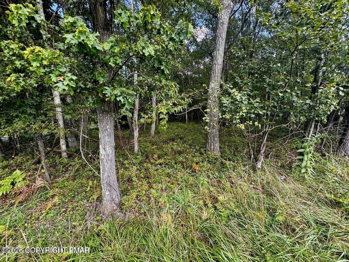 Property Photo: Lot # 14ht Bear Lane PA 18229