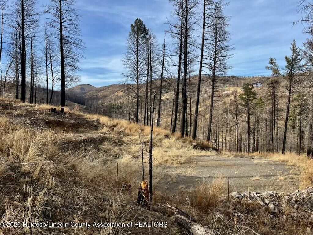 Property Photo:  116 Bluebelle Lane  NM 88345 