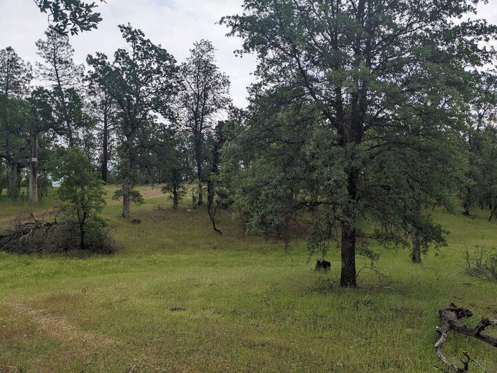 Property Photo:  Wistful Vista Lane  CA 96003 