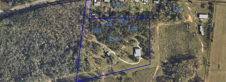 Property Photo:  300 E County Rd 32 E  AL 36345 