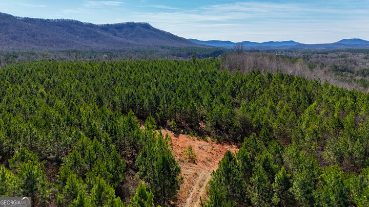 Property Photo: 0 Highway 100 GA 30747