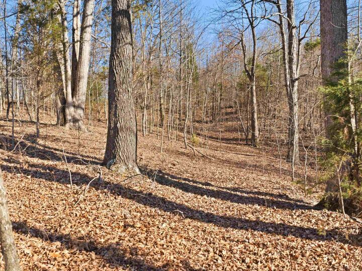 Property Photo:  6346 Little Hickory Road  KY 42366 