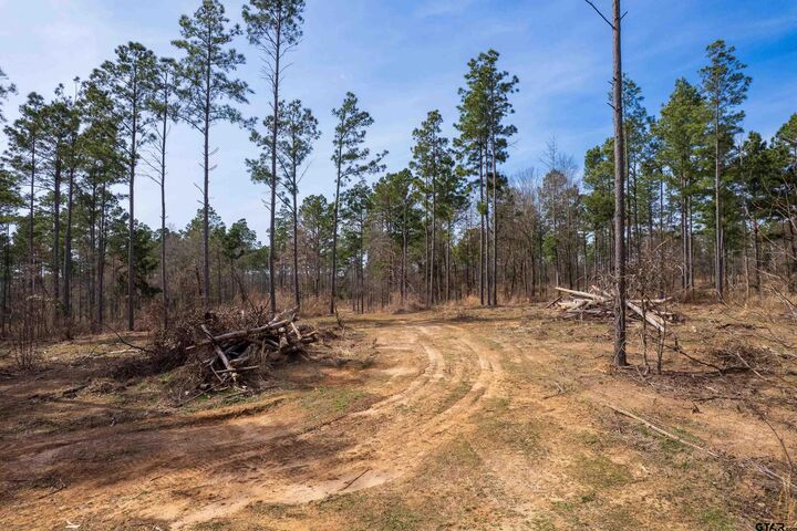 Property Photo: 130 SE County Road 4415 TX 75480