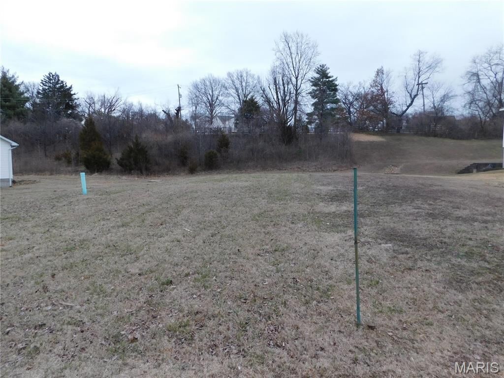 Property Photo: 12023 Parker Estates Court MO 63033