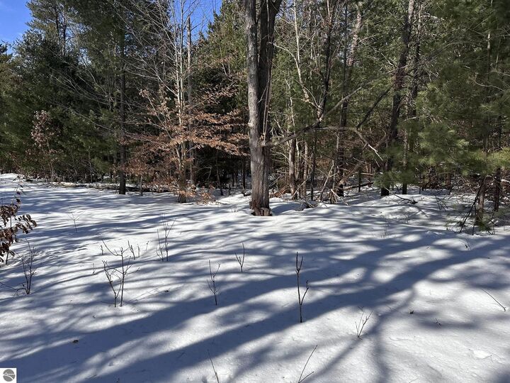 Property Photo:  Honor Highway  MI 49643 