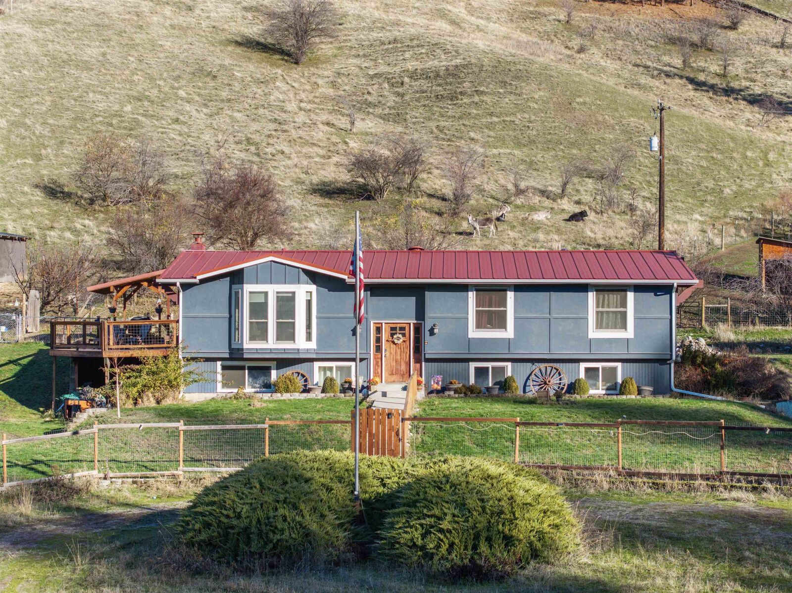 Property Photo: