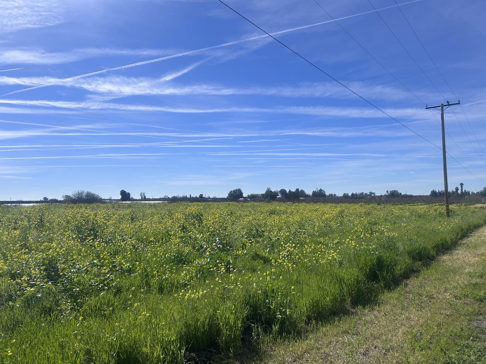 Property Photo: 0 SE Avenue 88 Avenue SE CA 93270