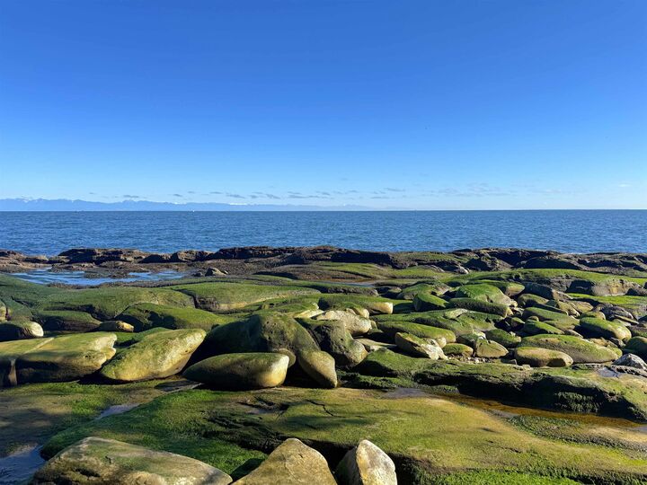 Lot 2 Bodega Beach Drive — photo 1