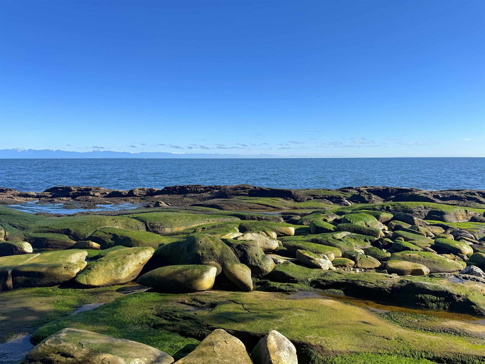 Property Photo: Lot 2 Bodega Beach Drive BC V0N 1P0
