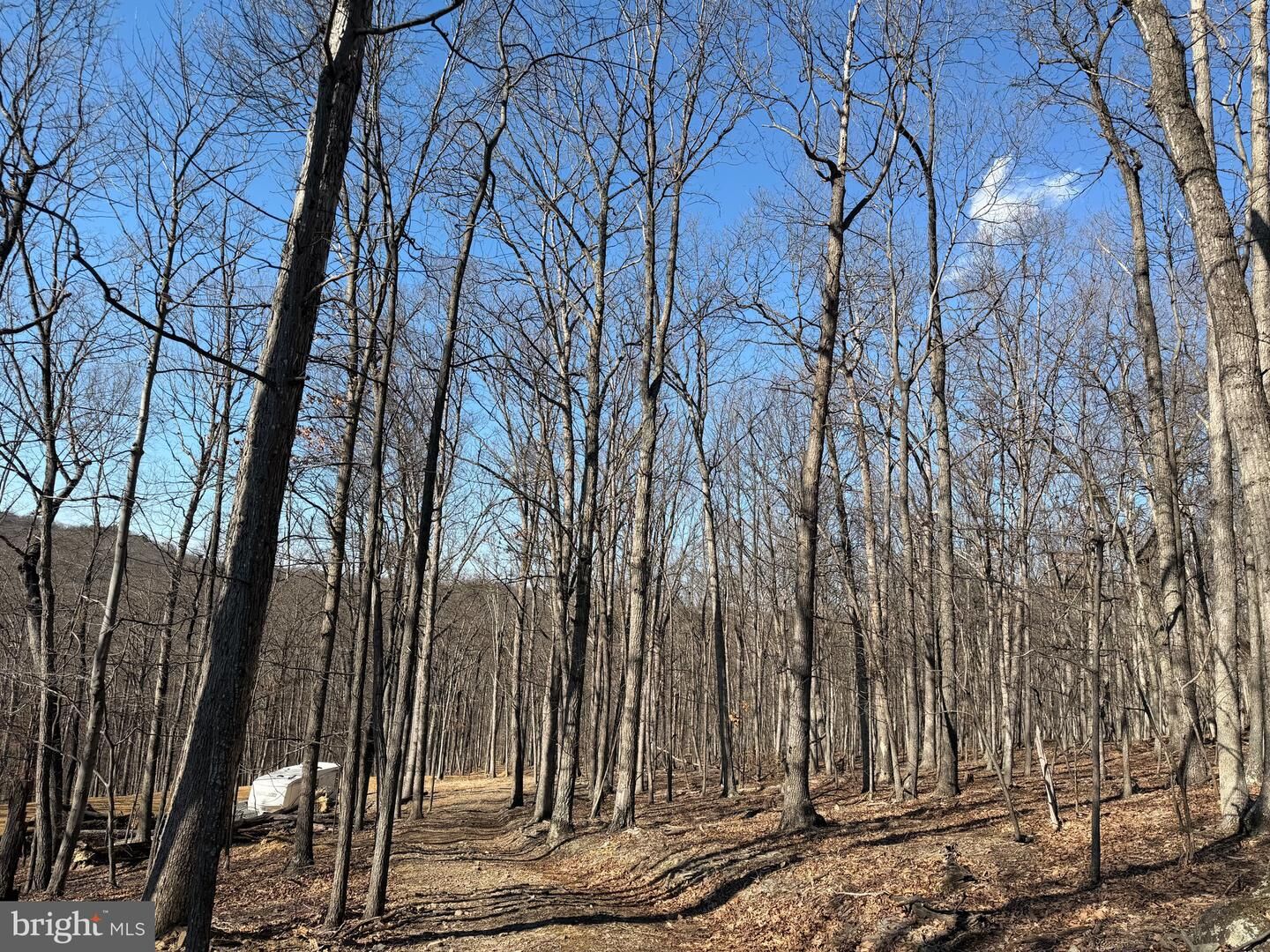 Property Photo:  Goldsborough Road  WV 26763 
